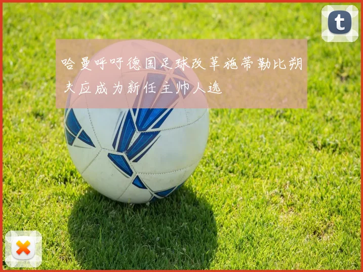哈曼呼吁德国足球改革施蒂勒比朔夫应成为新任主帅人选